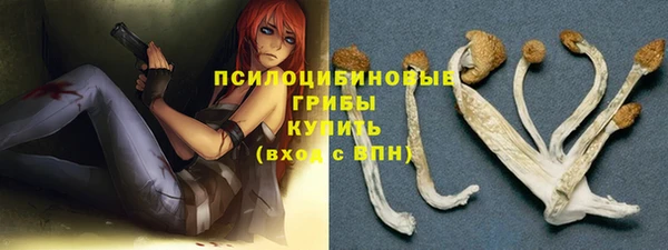 MDMA Premium VHQ Михайловка