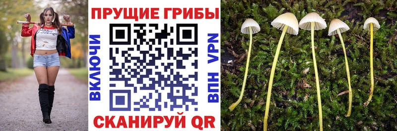 Купить закладки  Инза  Галлюциногенные грибы GOLDEN TEACHER 